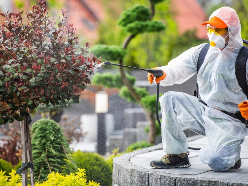 Yakutiye Haşere İlaçlama